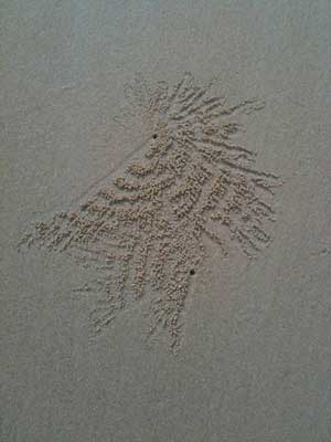 Sand I, Malaysia