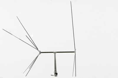 from the Antenna series c.1981
