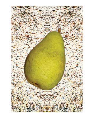 D'Anjou pear (Argentina)