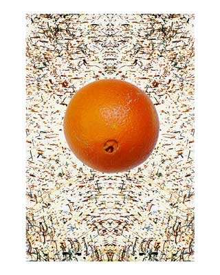 Navel orange (California, USA)