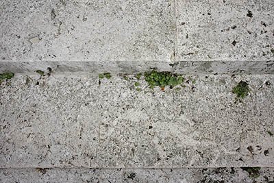 A photograph from the Chartres 39 Steps photographic series