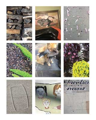 A grid photograph based on the definition of the word, engram, coined by the biologist, Richard Semon
