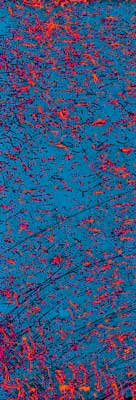 A photograph made from the emulsion of film that has been marred and modified