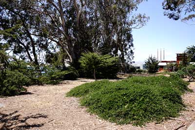 a photograph from the Sixteen of Thirty-Six Views of Morro Bay