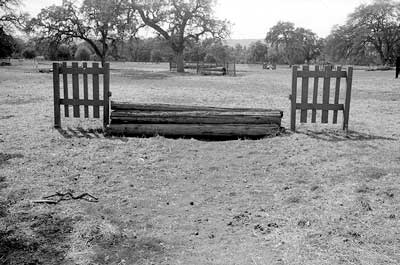 from After Muybridge: Horse in Motion series (Stanford University) c.1979-80