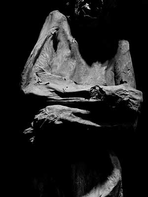 Photographs of human remains from Guanajuato, Mexico