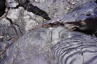 Photograph of the lava flow from Mount Hualalai, Hawaii