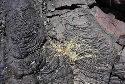 Photograph of the lava flow from Mount Hualalai, Hawaii