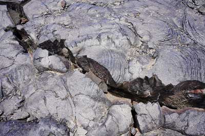 Photograph of the lava flow from Mount Hualalai, Hawaii