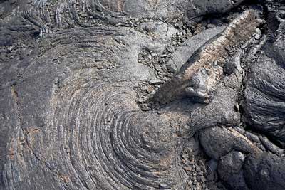 Photograph of the lava flow from Mount Hualalai, Hawaii