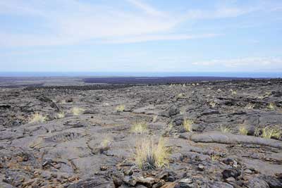 Photograph of the lava flow from Mount Hualalai, Hawaii