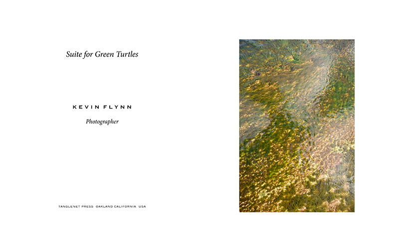 Suite for Green Turtles Book