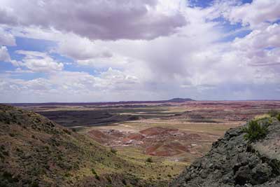 Photograph of the Coniferous Forest